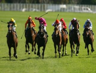 South Africa Horse Racing Tips South Africa Horse Racing Tips